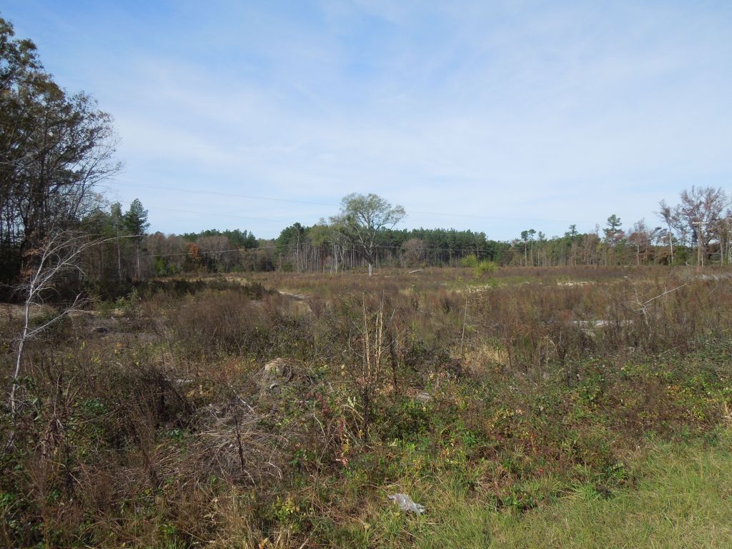 Bullock Tract Wilson Brothers Rd 197.79 Acres SOLD Vance