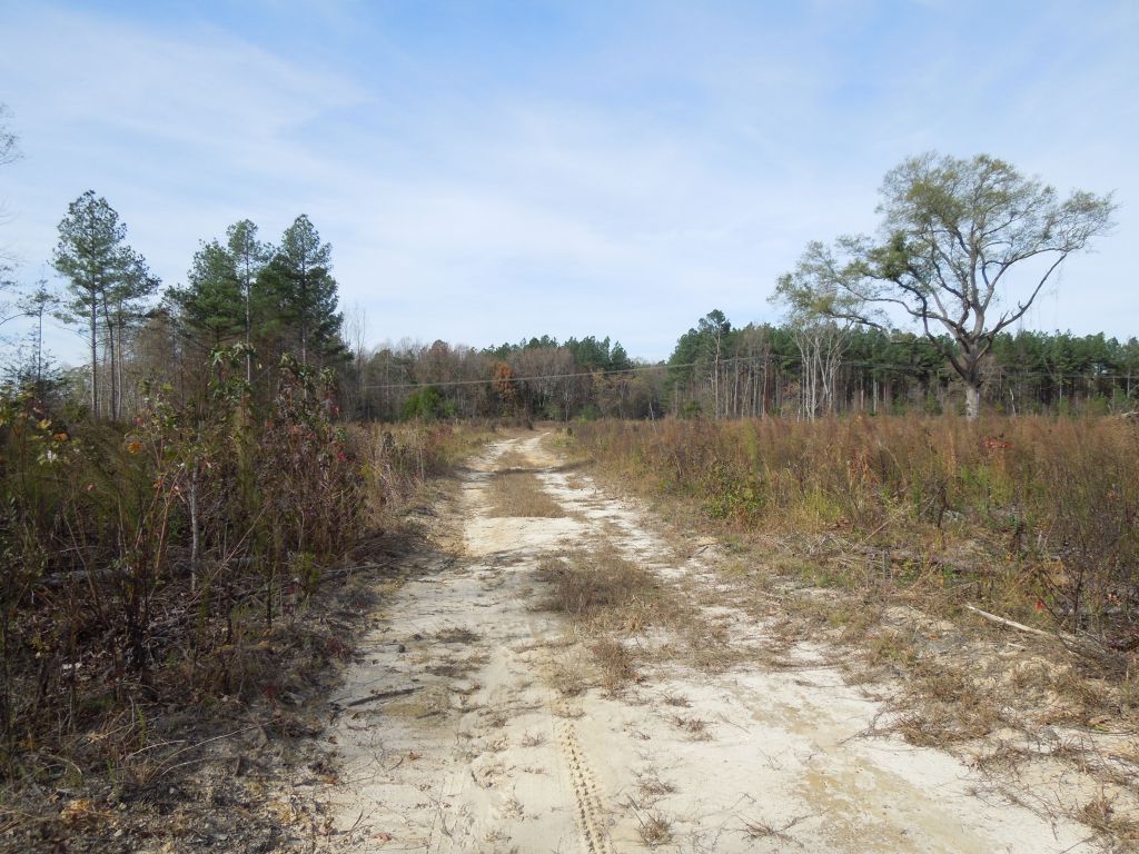 Bullock Tract Wilson Brothers Rd 197.79 Acres SOLD Vance