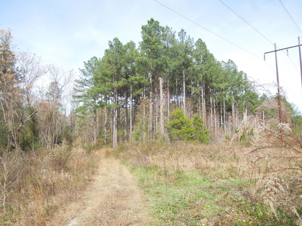 Bullock Tract – Wilson Brothers Rd – 197.79 Acres – SOLD – Vance ...