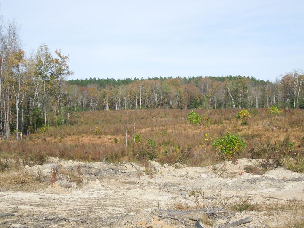 Bullock Tract Wilson Brothers Rd 197.79 Acres SOLD Vance