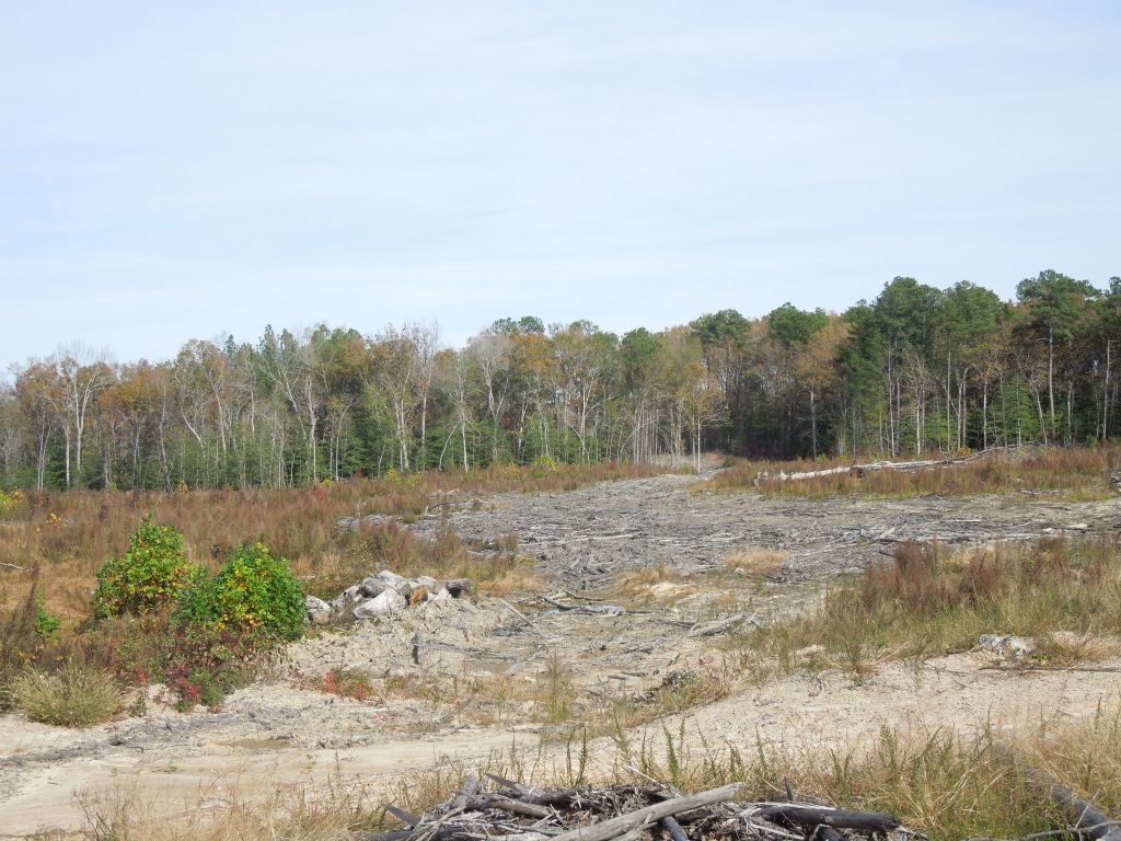 Bullock Tract Wilson Brothers Rd 197.79 Acres SOLD Vance