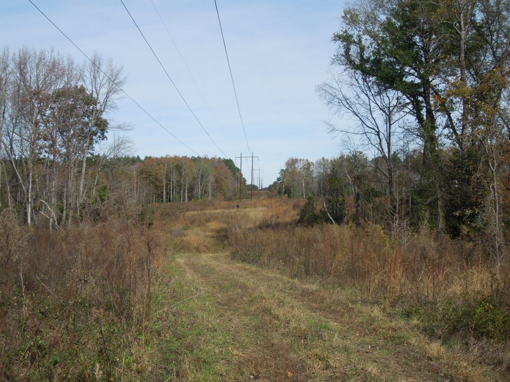 Bullock Tract Wilson Brothers Rd 197.79 Acres SOLD Vance