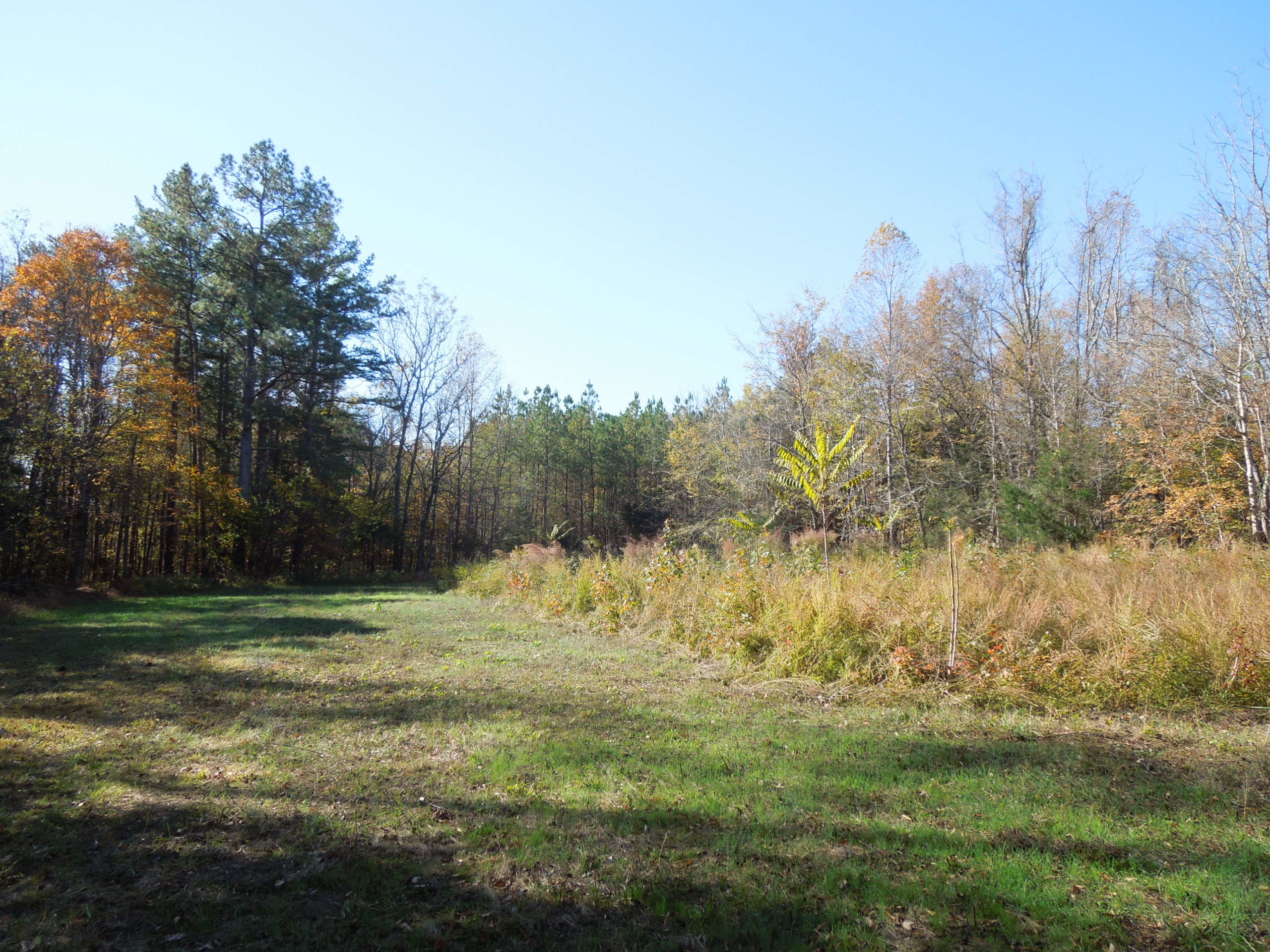 Charles Stovall Tract SOLD Granville County NC Timber Marketing