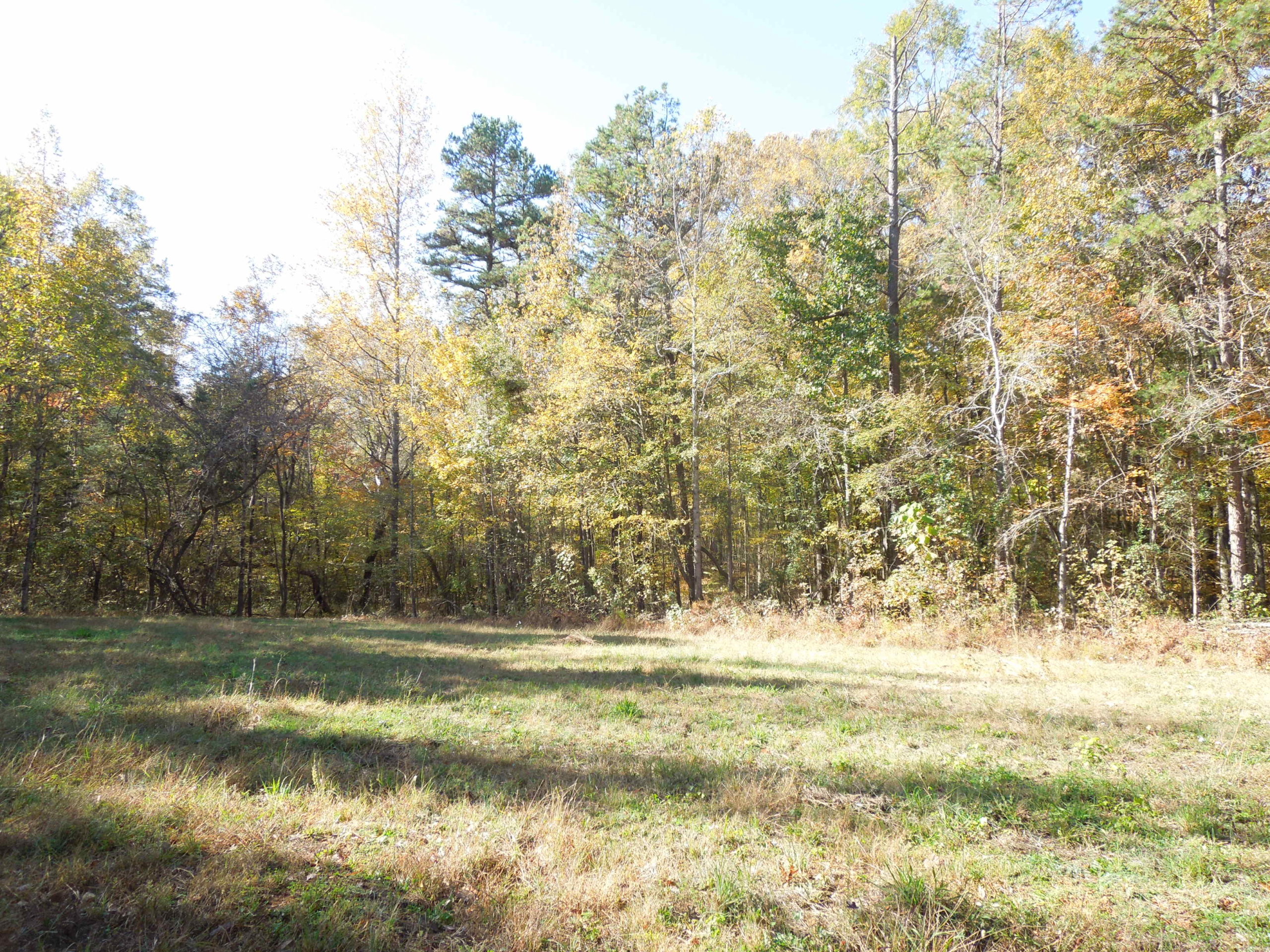 Charles Stovall Tract SOLD Granville County NC Timber Marketing