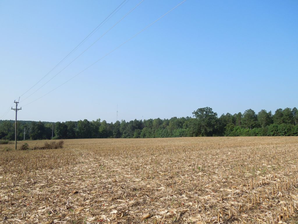 Buckhorn Properties Partners LLC Tract Orange County, NC Timber