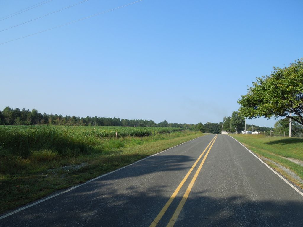 Buckhorn Properties Partners LLC Tract Orange County, NC Timber