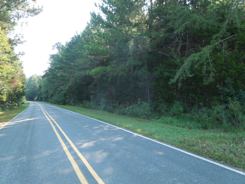 Buckhorn Properties Partners LLC Tract Orange County, NC Timber